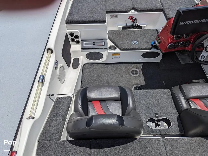 Slide: The Image of Bass Cat Eyra 2015 - 14113895