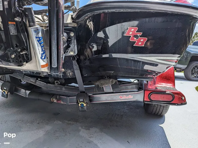 Slide: The Image of Bass Cat Eyra 2015 - 14113860