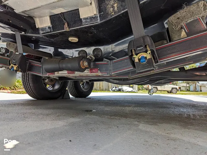 Slide: The Image of Bass Cat Eyra 2015 - 14113861