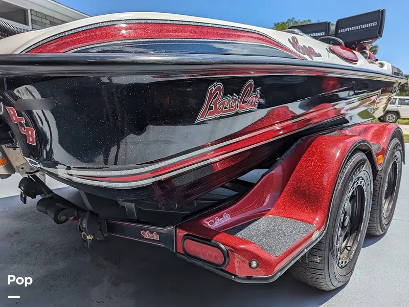 Slide: The Image of Bass Cat Eyra 2015 - 14113862