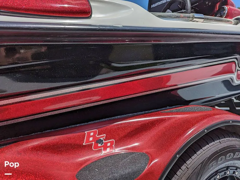 Slide: The Image of Bass Cat Eyra 2015 - 14113863