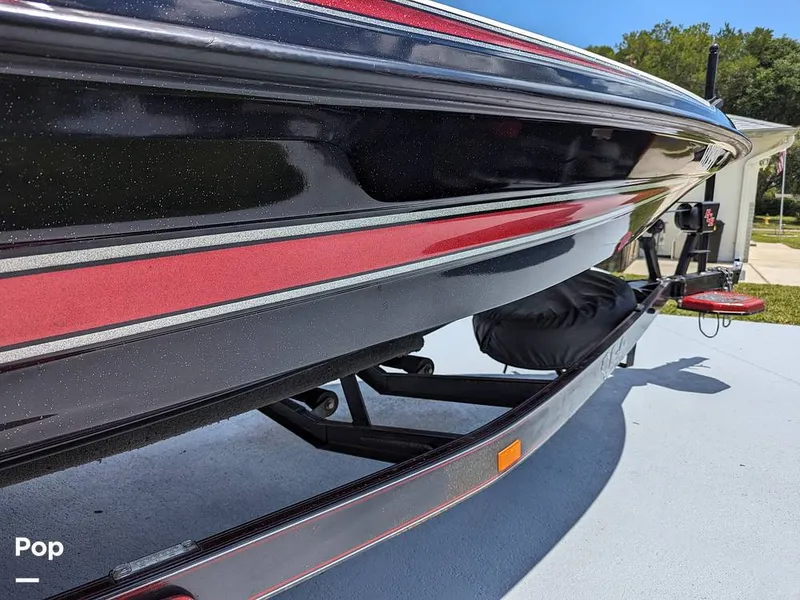 Slide: The Image of Bass Cat Eyra 2015 - 14113864