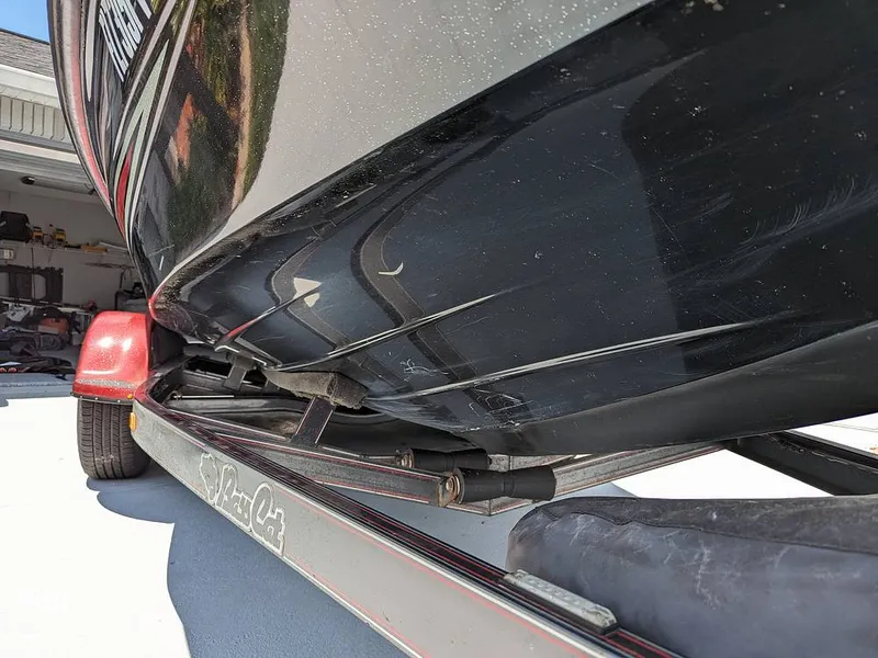 Slide: The Image of Bass Cat Eyra 2015 - 14113867