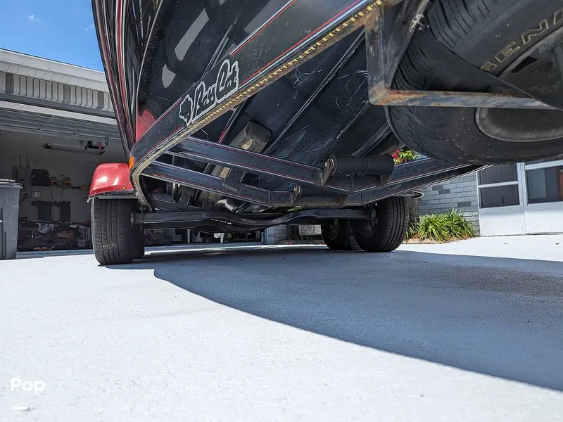 Slide: The Image of Bass Cat Eyra 2015 - 14113868