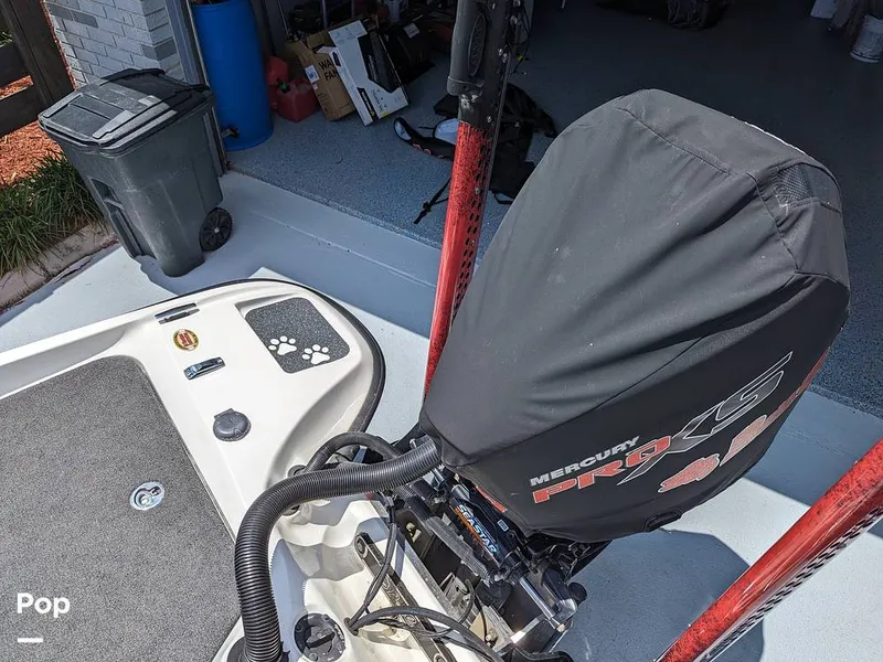 Slide: The Image of Bass Cat Eyra 2015 - 14113869