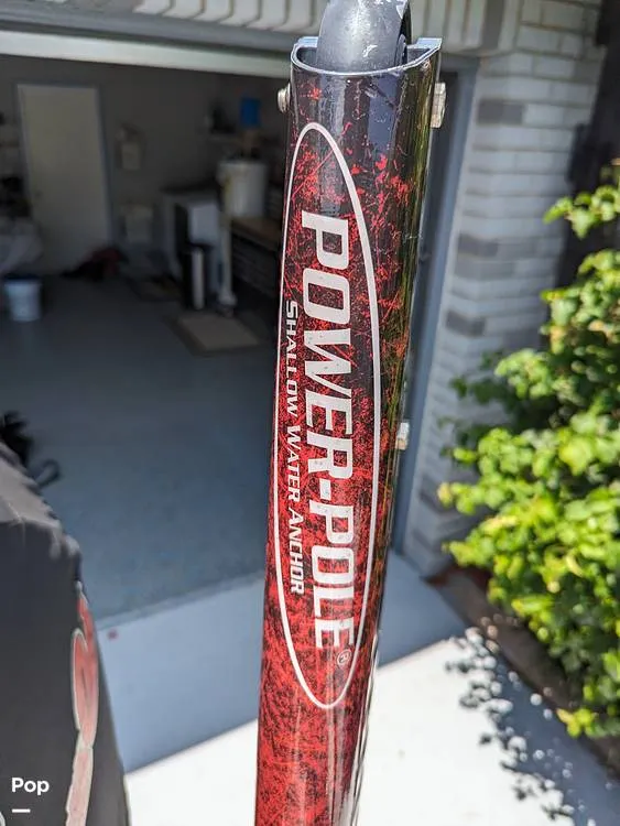 Slide: The Image of Bass Cat Eyra 2015 - 14113870