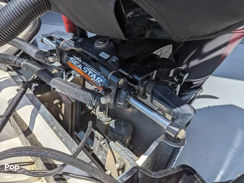 Slide: The Image of Bass Cat Eyra 2015 - 14113872