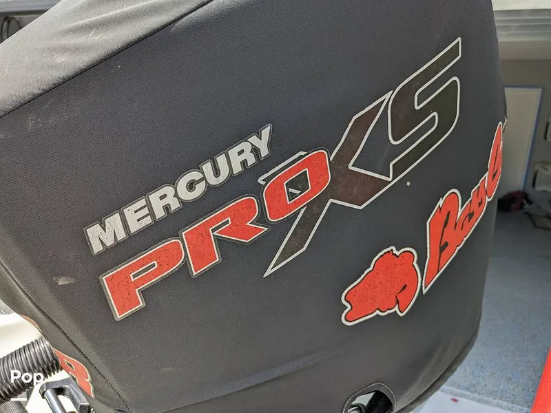 Slide: The Image of Bass Cat Eyra 2015 - 14113873