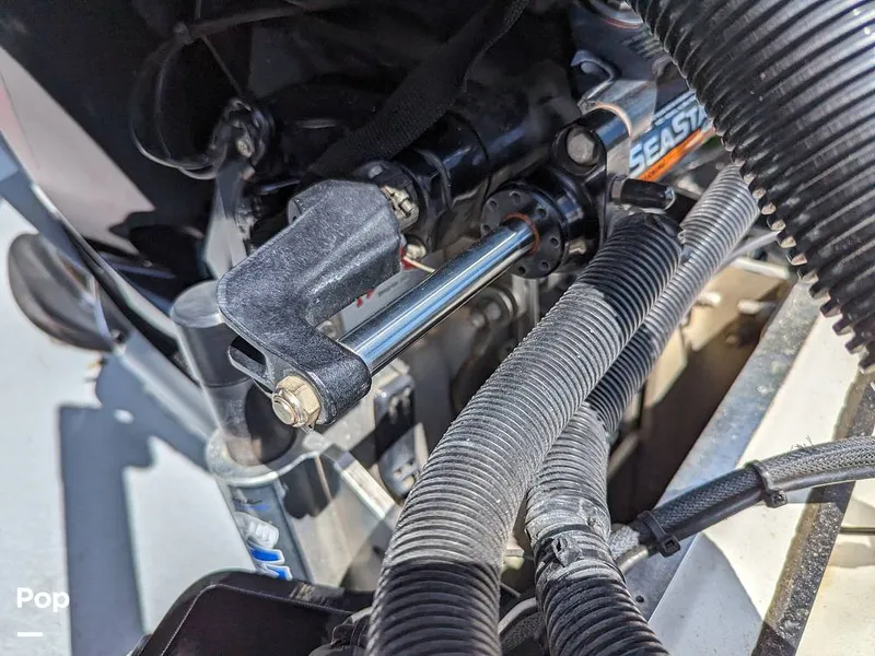 Slide: The Image of Bass Cat Eyra 2015 - 14113874