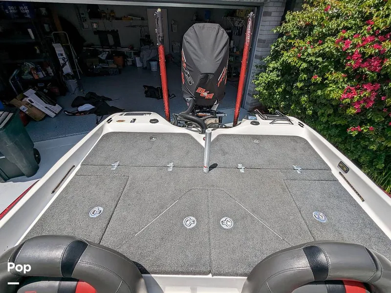 Slide: The Image of Bass Cat Eyra 2015 - 14113877