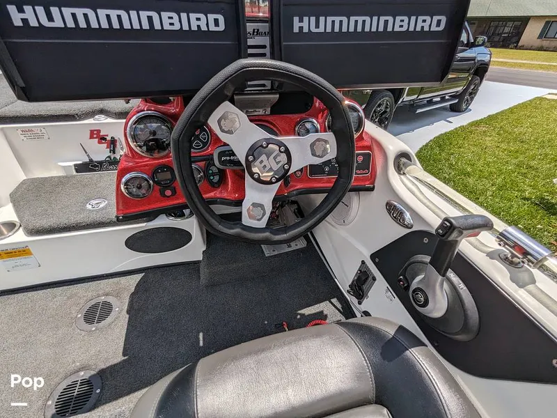 Slide: The Image of Bass Cat Eyra 2015 - 14113897