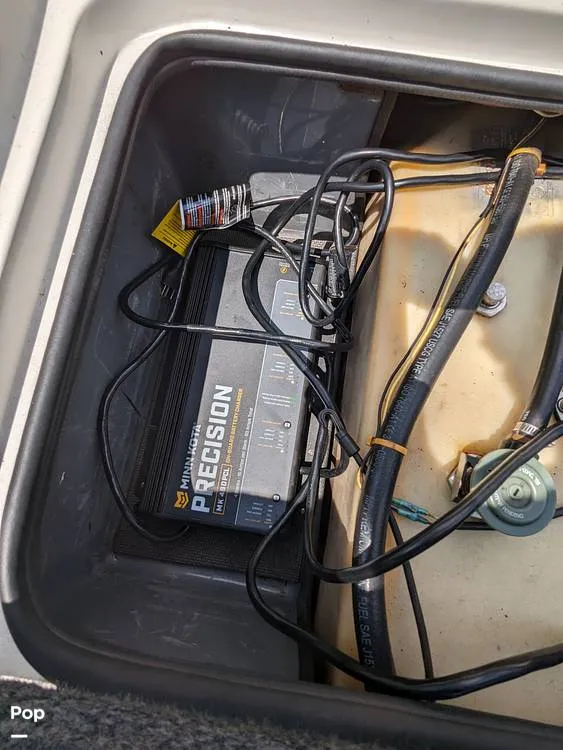 Slide: The Image of Bass Cat Eyra 2015 - 14113880