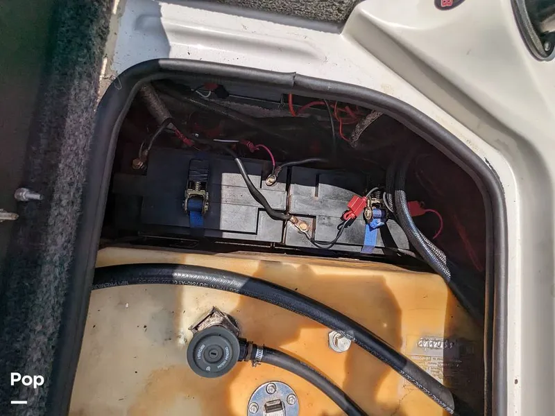 Slide: The Image of Bass Cat Eyra 2015 - 14113884