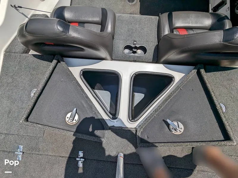 Slide: The Image of Bass Cat Eyra 2015 - 14113886