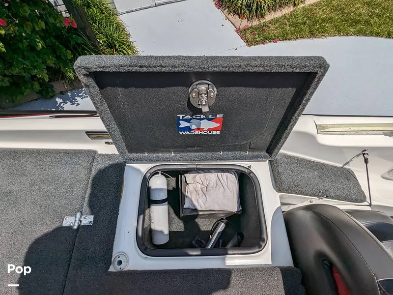 Slide: The Image of Bass Cat Eyra 2015 - 14113889