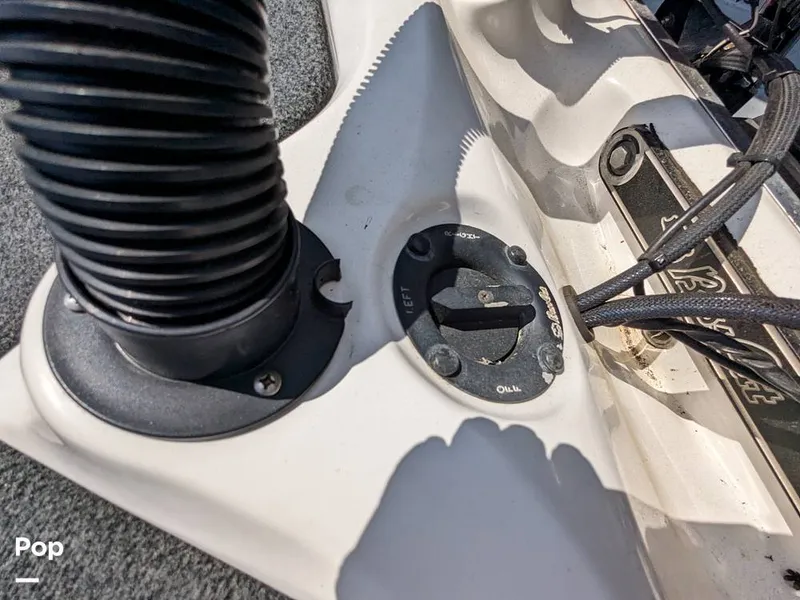 Slide: The Image of Bass Cat Eyra 2015 - 14113891