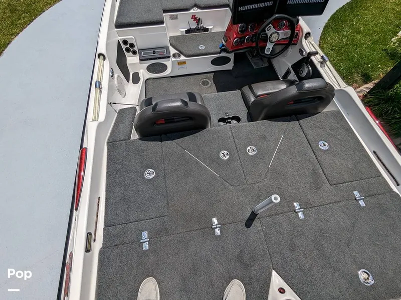 Slide: The Image of Bass Cat Eyra 2015 - 14113892