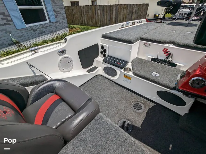 Slide: The Image of Bass Cat Eyra 2015 - 14113898