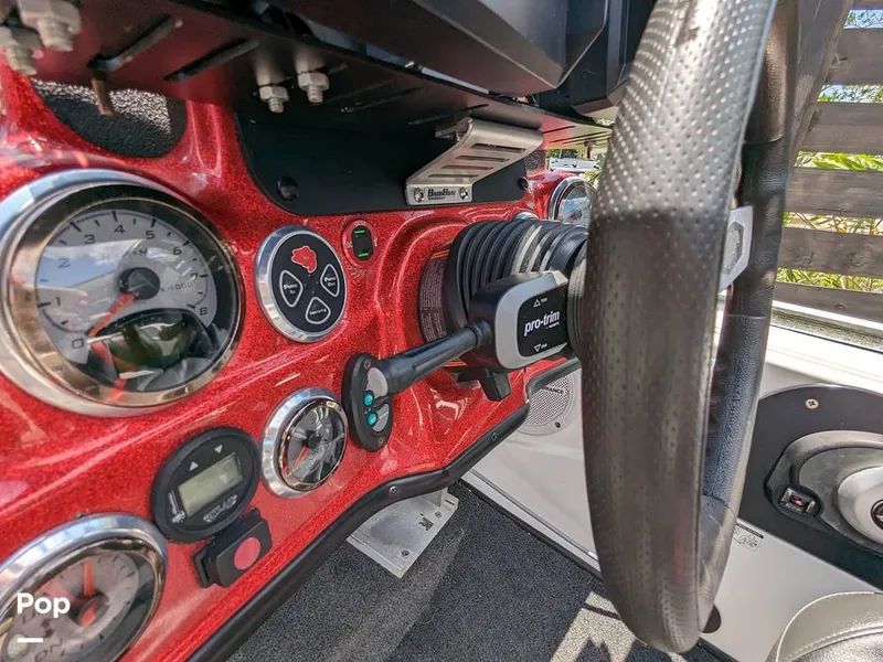 Slide: The Image of Bass Cat Eyra 2015 - 14113899