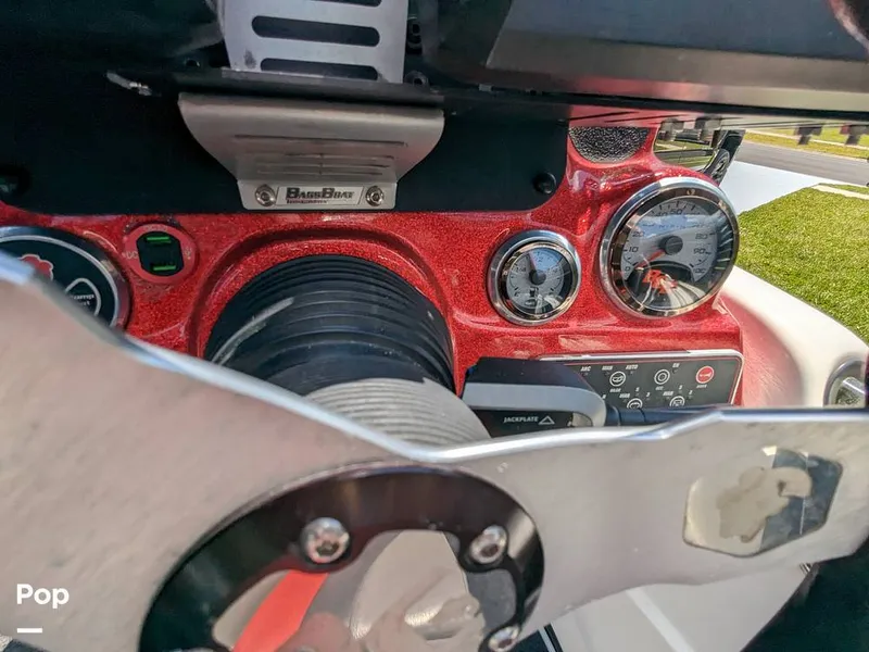 Slide: The Image of Bass Cat Eyra 2015 - 14113900