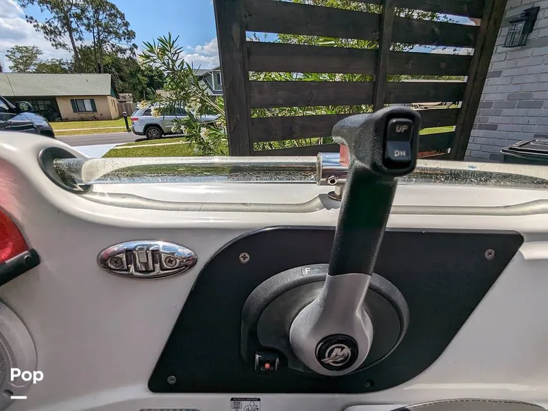 Slide: The Image of Bass Cat Eyra 2015 - 14113901