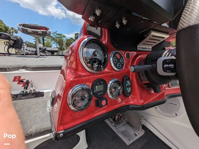 Slide: The Image of Bass Cat Eyra 2015 - 14113905