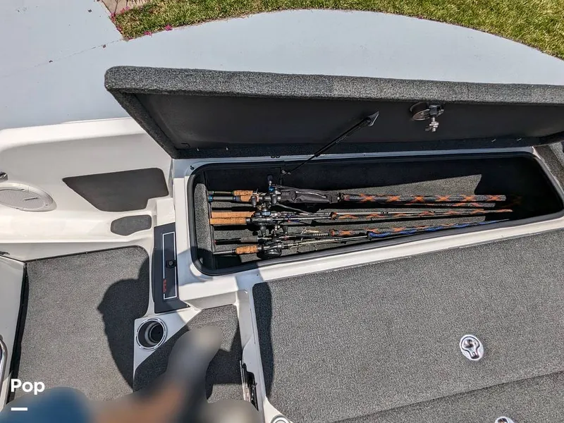 Slide: The Image of Bass Cat Eyra 2015 - 14113910