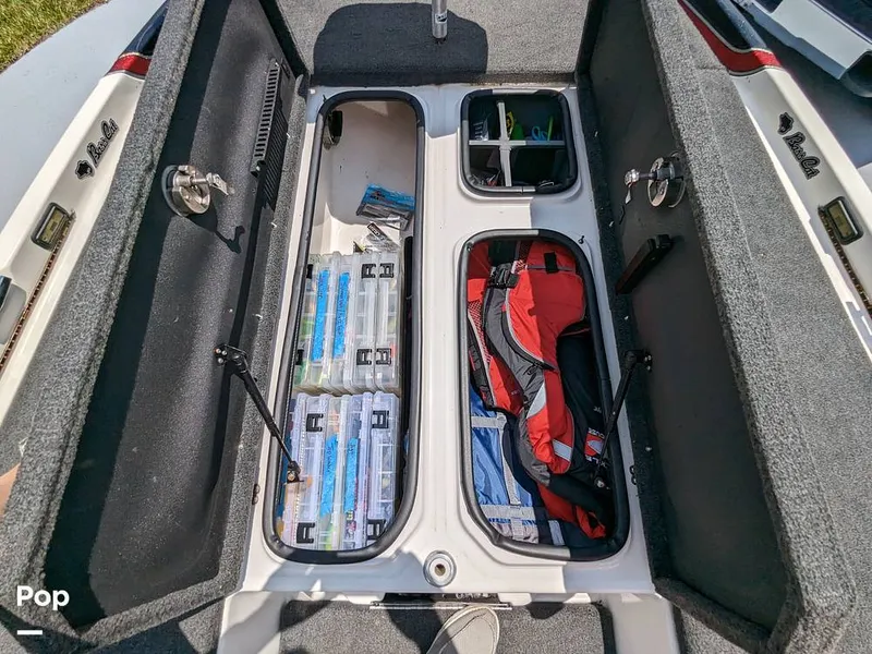 Slide: The Image of Bass Cat Eyra 2015 - 14113912