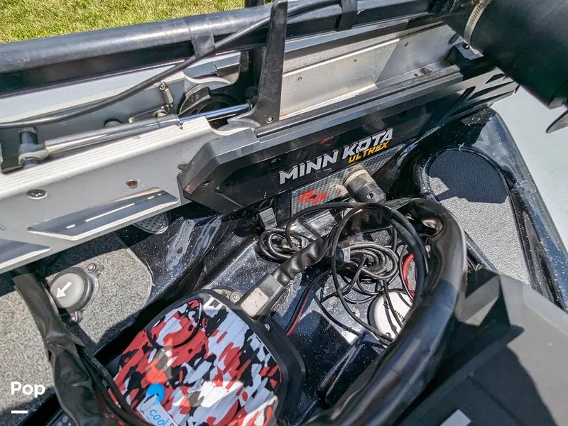 Slide: The Image of Bass Cat Eyra 2015 - 14113915