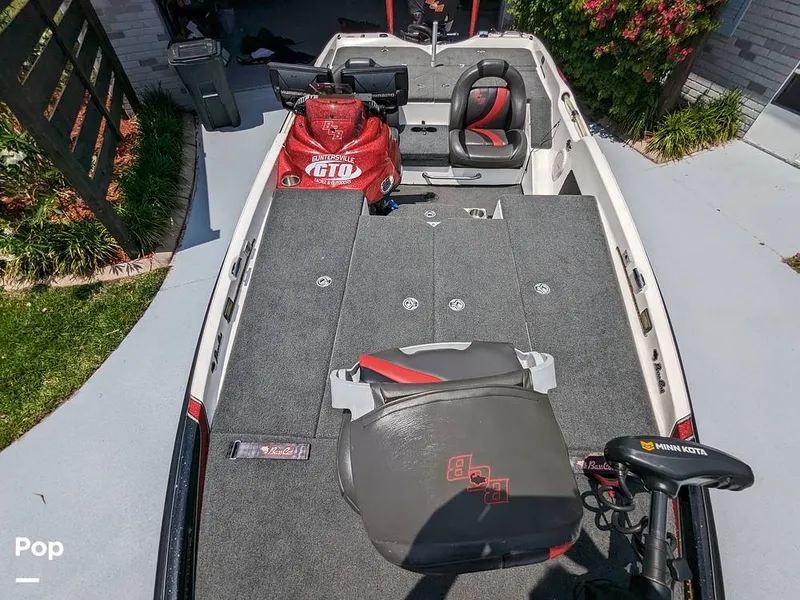 Slide: The Image of Bass Cat Eyra 2015 - 14113916