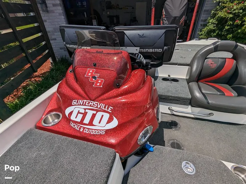 Slide: The Image of Bass Cat Eyra 2015 - 14113918