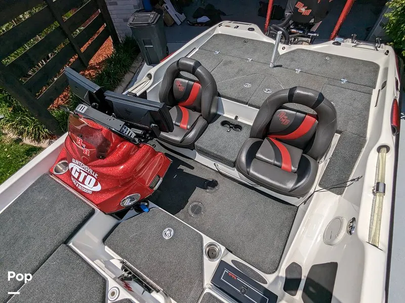 Slide: The Image of Bass Cat Eyra 2015 - 14113919