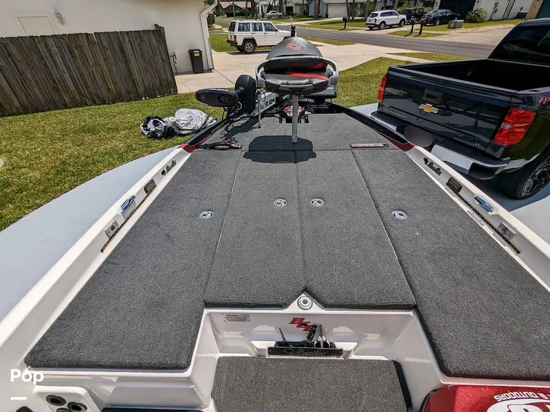 Slide: The Image of Bass Cat Eyra 2015 - 14113833