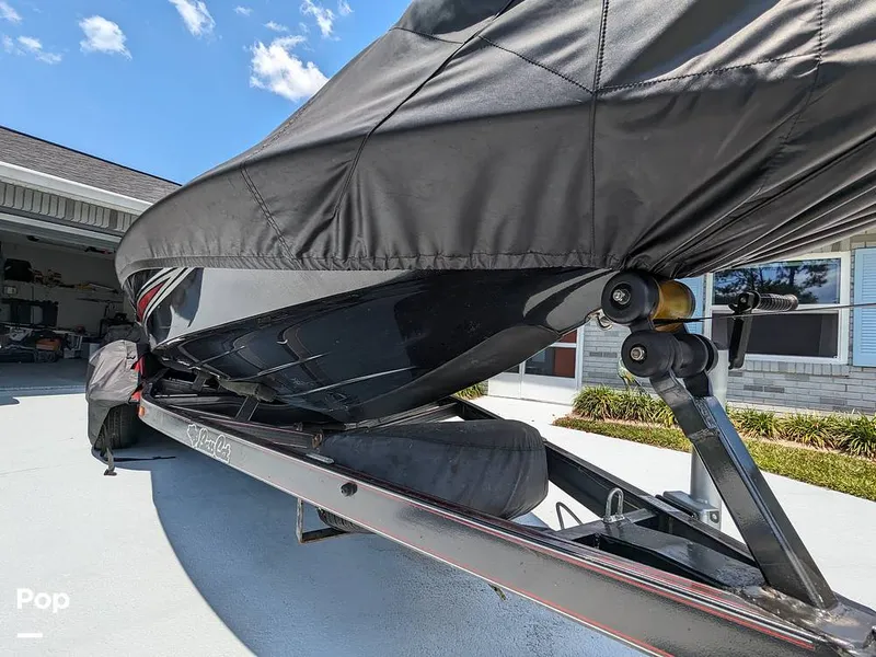 Slide: The Image of Bass Cat Eyra 2015 - 14113847