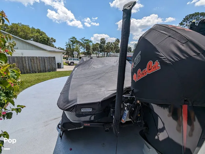 Slide: The Image of Bass Cat Eyra 2015 - 14113841