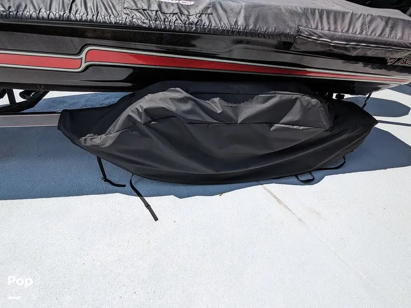 Slide: The Image of Bass Cat Eyra 2015 - 14113840