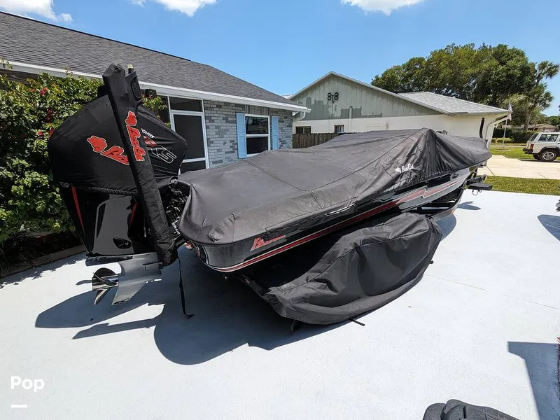 Slide: The Image of Bass Cat Eyra 2015 - 14113830