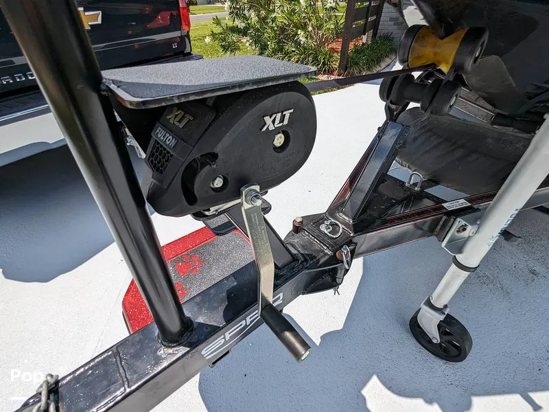 Slide: The Image of Bass Cat Eyra 2015 - 14113943