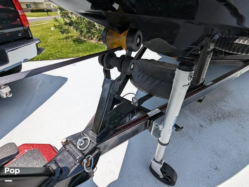 Slide: The Image of Bass Cat Eyra 2015 - 14113944