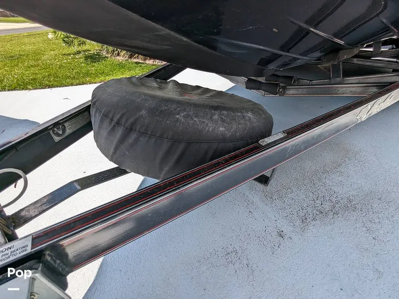 Slide: The Image of Bass Cat Eyra 2015 - 14113945