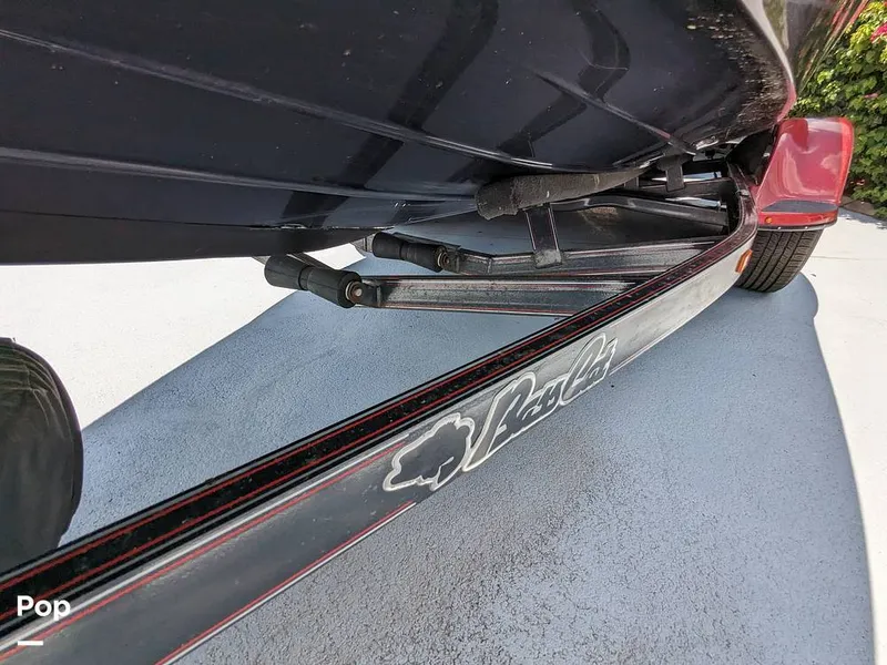 Slide: The Image of Bass Cat Eyra 2015 - 14113947