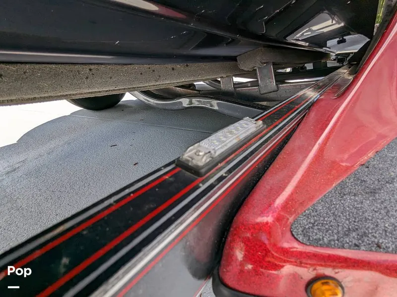 Slide: The Image of Bass Cat Eyra 2015 - 14113948