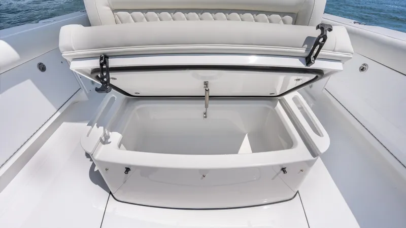 Slide: The Image of Everglades 273 Center Console 2026 - 17