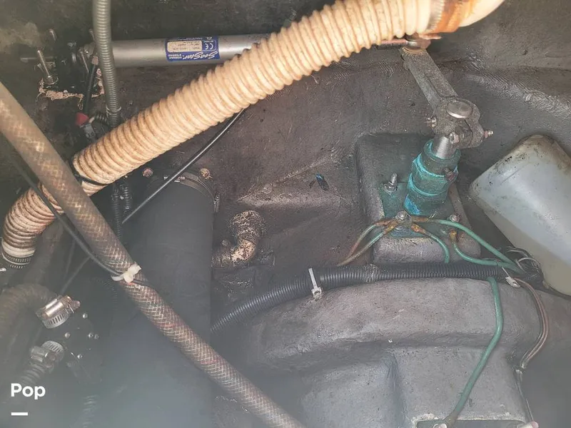 Slide: The Image of Shamrock 246 Open Fisher 2005 - 13931479