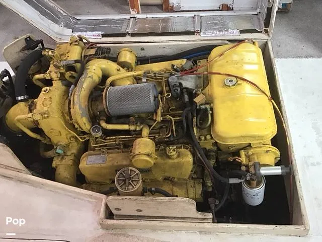 Slide: The Image of Stapleton 32 1969 - 15412879