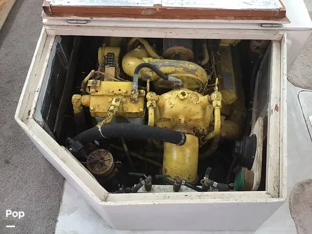 Slide: The Image of Stapleton 32 1969 - 15412882