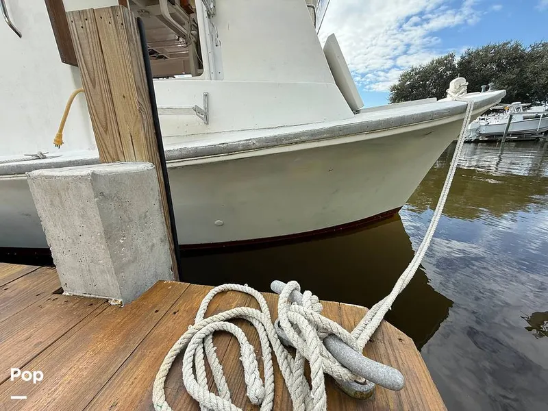 Slide: The Image of Stapleton 32 1969 - 16004040