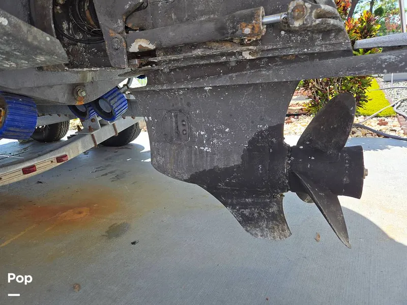 Slide: The Image of Stingray 258LR 2007 - 15806296