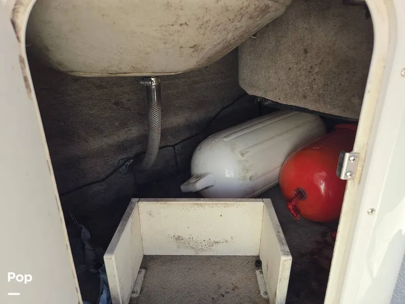 Slide: The Image of Stingray 258LR 2007 - 15806319