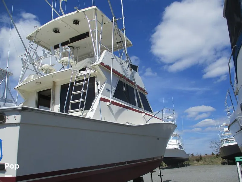 Slide: The Image of Viking 41 Convertible 1986 - 13940820